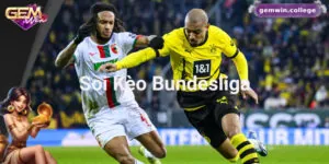Kinh Nghiệm Soi Kèo Bundesliga Hiệu Quả Từ Cao Thủ Cá Cược 2 Kinh Nghiệm Soi Kèo Bundesliga Hiệu Quả Từ Cao Thủ Cá Cược