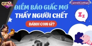 Mơ Thấy Người Chết Đánh Con Gì? Gợi Ý Con Số May Mắn 3 Mơ Thấy Người Chết Đánh Con Gì? Gợi Ý Con Số May Mắn